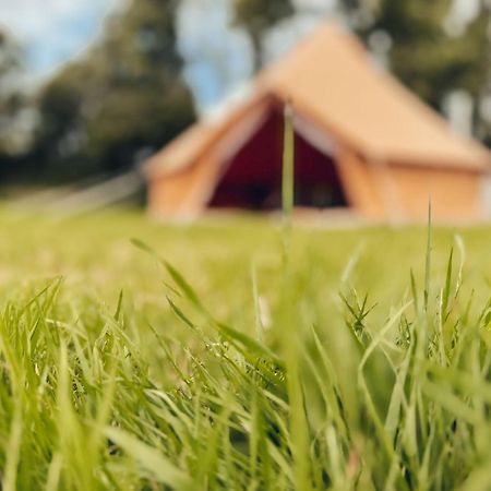 Fully Furnished Bell Tent 1 St Austell Exterior photo