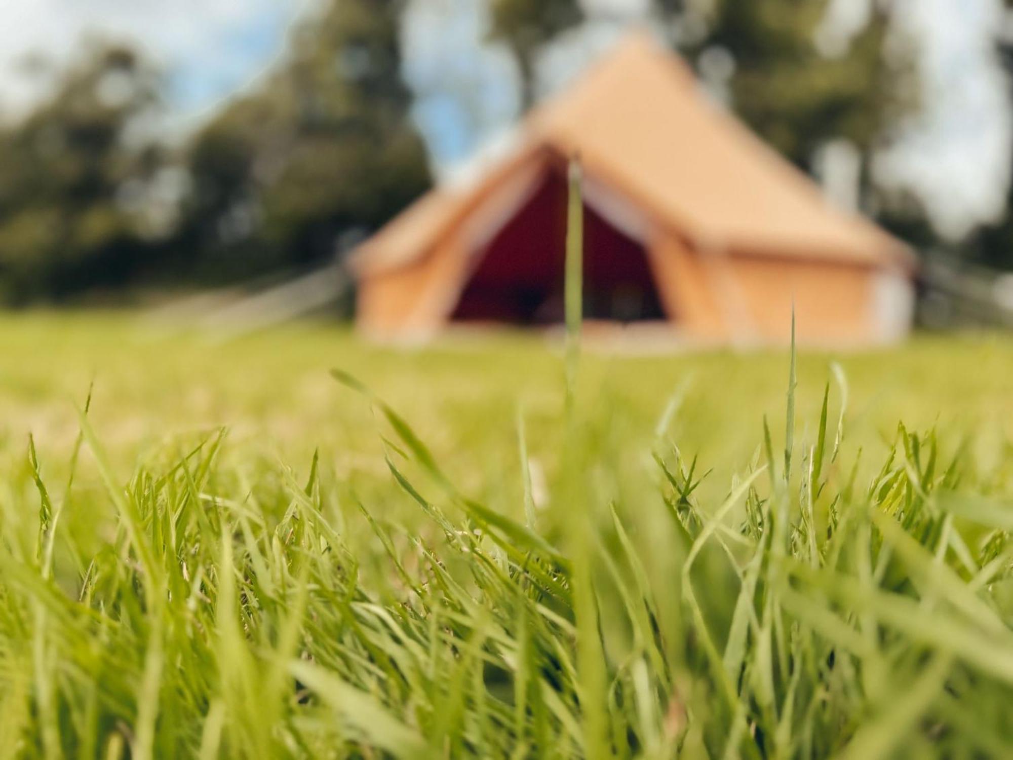 Fully Furnished Bell Tent 1 St Austell Exterior photo